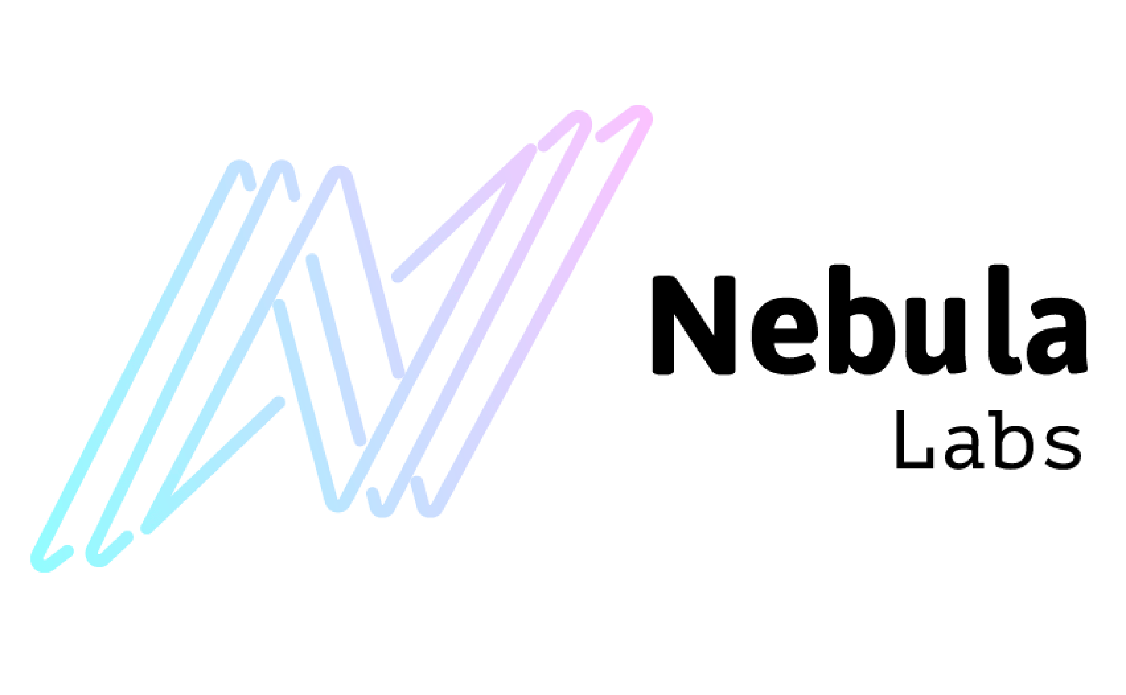 Nebula Labs Team